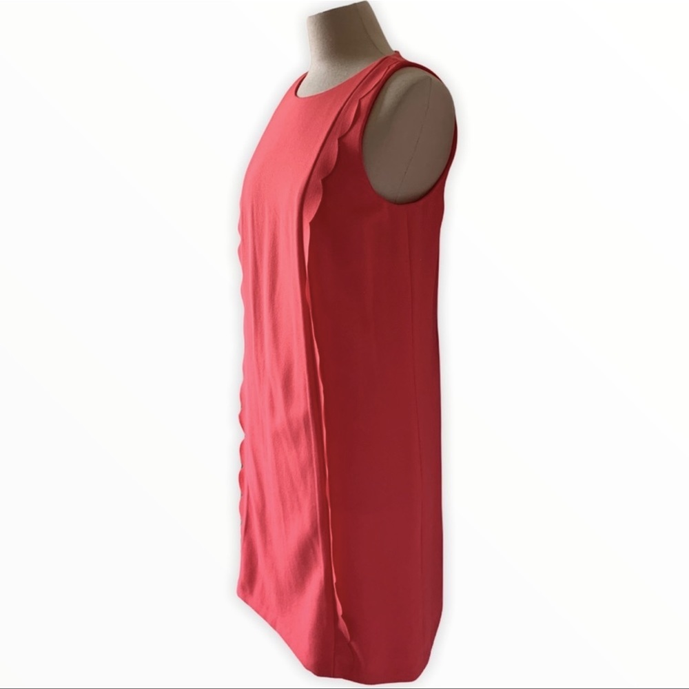 ✅NWT Tahari Levine Studio Bright Coral Scalloped Trim Shift Dress Sleeveless S 8 - Picture 3 of 4